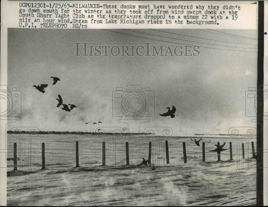 1943 Press Photo Ducks Take Off From Wind Swept Dock At The Yacht Club