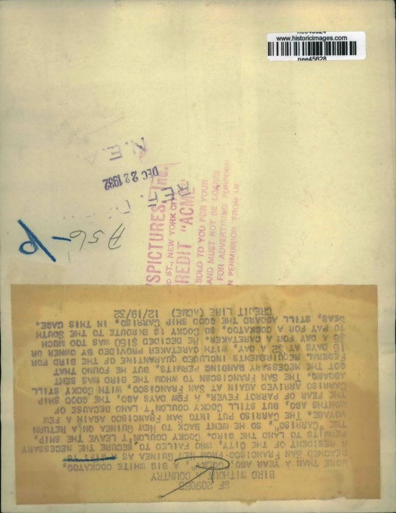 1932 Press Photo Cockatoo Aboard Ship