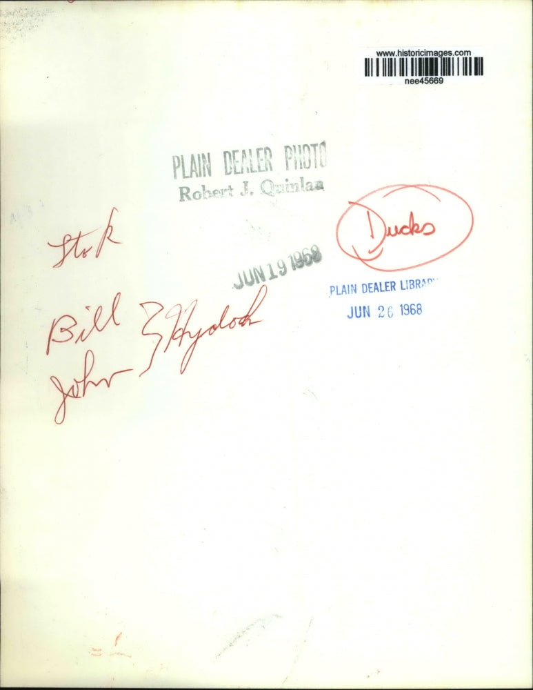 1968 Press Photo Boys Petting Duck in Swimming Pool - nee45669