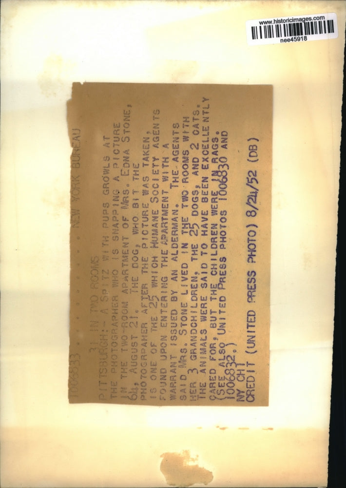 Load image into Gallery viewer, 1952 Press Photo Spitz with Puppies Living in Apartment with Mrs. Edna Stone
