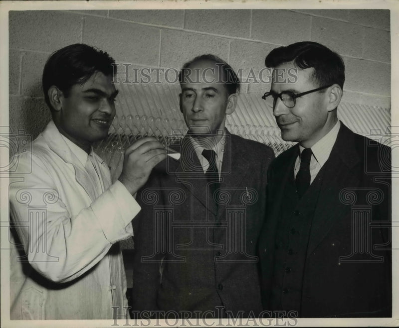 Load image into Gallery viewer, 1951 Press Photo Dr. Pk Hattacharyya, Prof. G.F. Fraekkel, Prof. H.E. Carter
