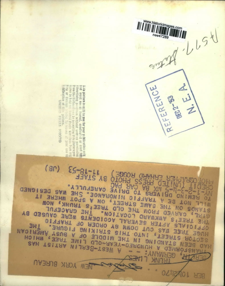 1953 Press Photo of a statue that was carved out of lime tree in the American Se