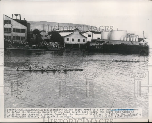 1951 Press Photo Oakland California Golden Bears Boat Rowing Oakland Eatuary