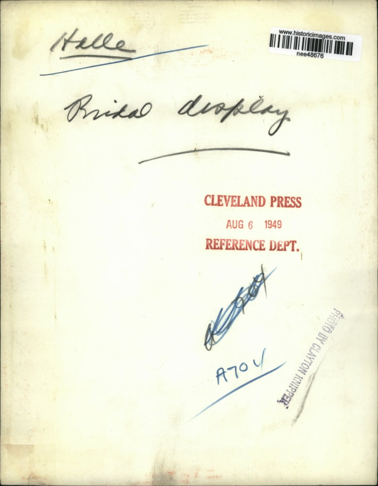 1949 Press Photo Bridal Display - nee48676