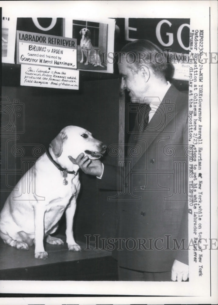 1958 Press Photo Gov. Averell Harriman of New York with White Lab Retriever - Historic Images