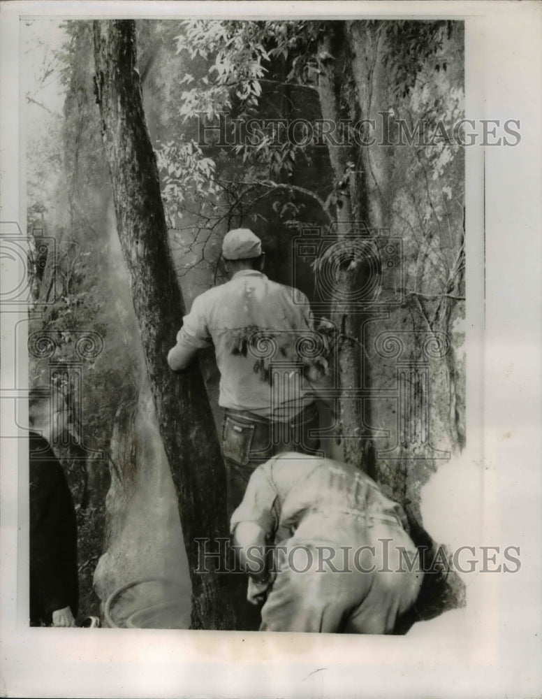Load image into Gallery viewer, 1959 Press Photo Owasso, Oklahoma Hound Dog rescue in Caves - nee51266
