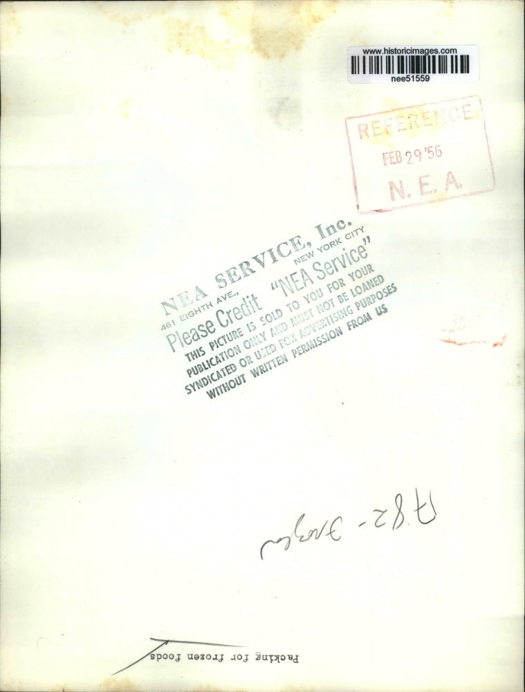 1956 Press Photo Packing for Frozen Foods