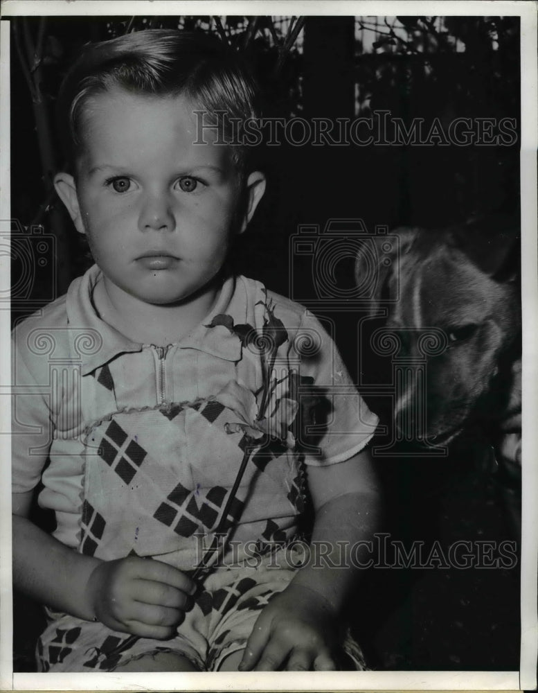 1940 Press Photo Jay Miller holds a Talisman Rose grown by Mrs. Luther Persing.