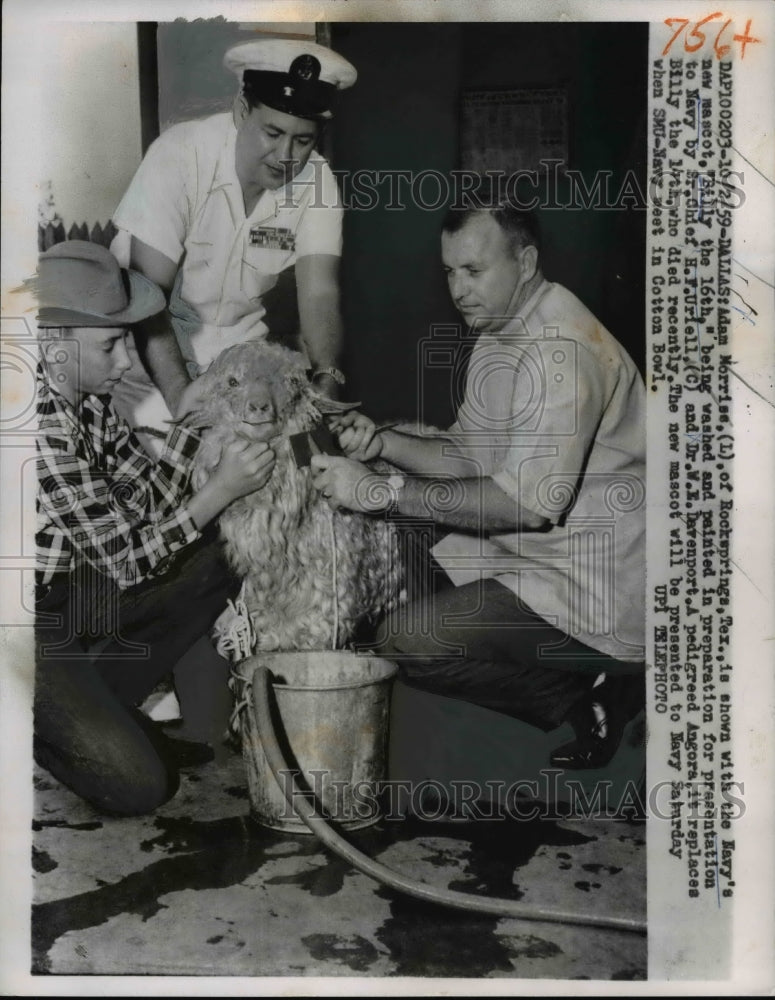1959 Press Photo Adam Morris with Navy's New Mascot Billy the 16th - nee53273