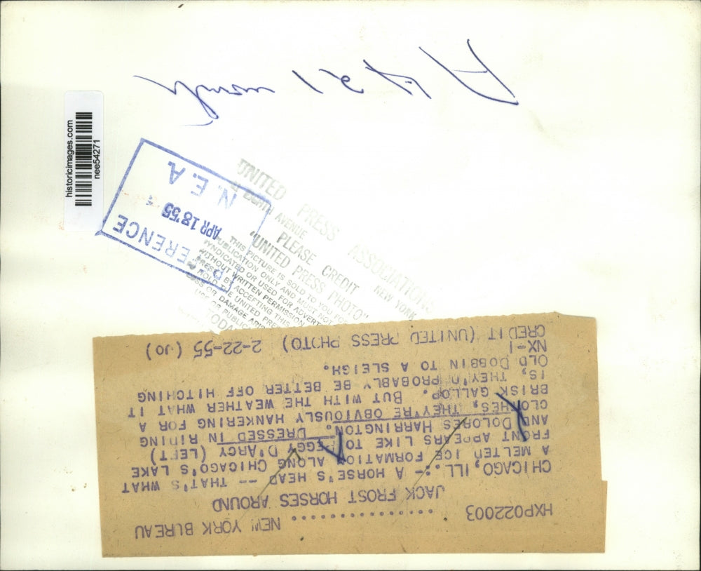 1955 Press Photo Peggy D'Arcy, Delores Harrington Chicago Horse Head ice