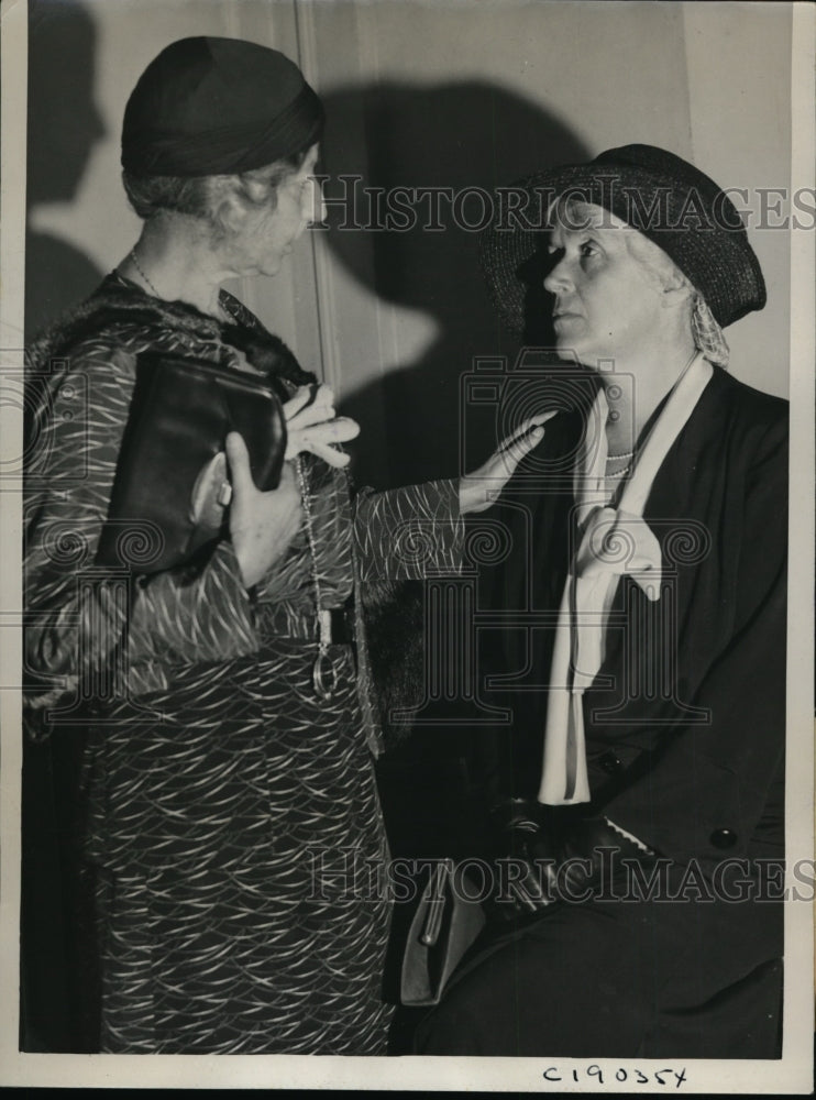 1932 Press Photo Marquerite Wells(L) & Mrs Morrison both former VP women voters