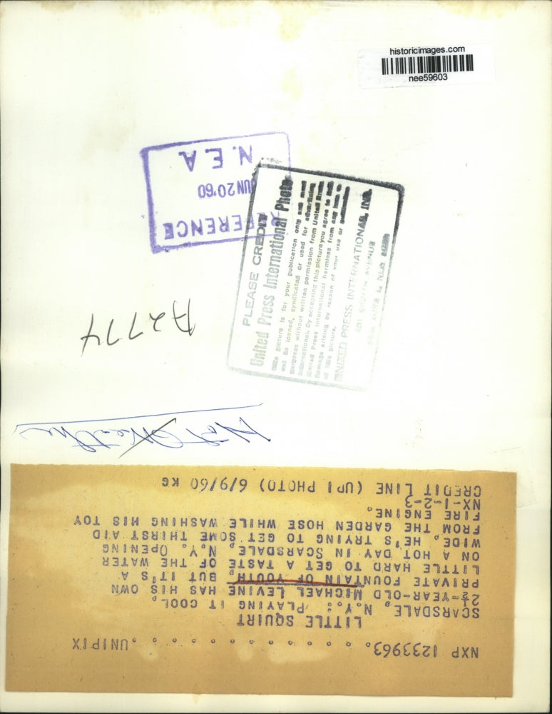 1960 Press Photo Scarsdale New York, Michael Levine Drinking On A Hot Day.