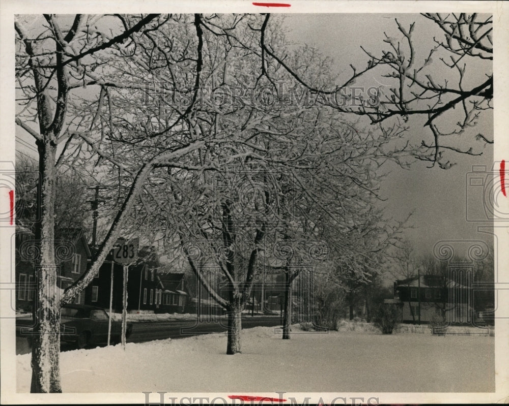 Press Photo Municipal light plant gushes steam which freezes onto trees.