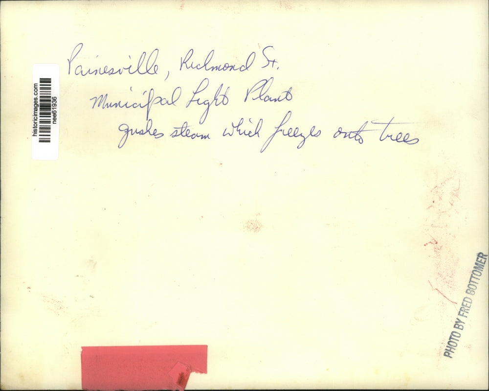 Press Photo Municipal light plant gushes steam which freezes onto trees.