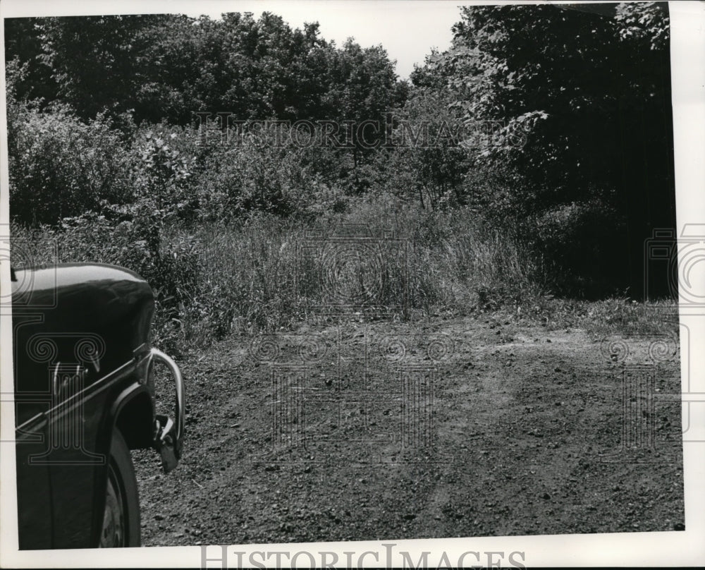 1953 Press Photo Place where hidden Hydrant is source at Miles Hts. - nee63531