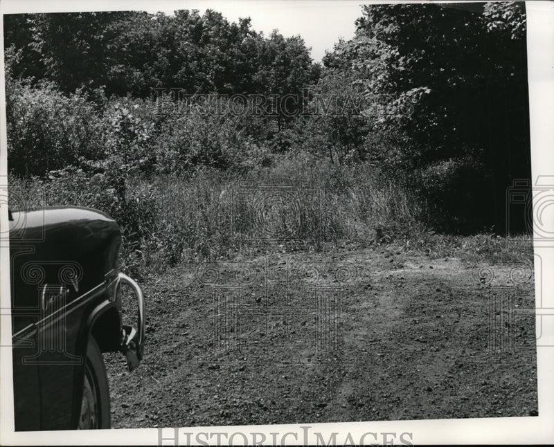 Load image into Gallery viewer, 1953 Press Photo Place where hidden Hydrant is source at Miles Hts. - nee63531
