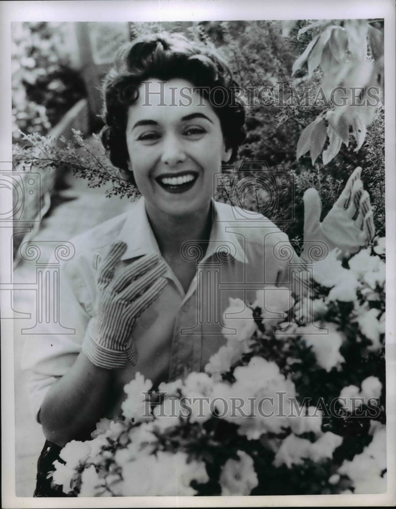 1955 Press Photo advertisement for gardening gloves - nee65730