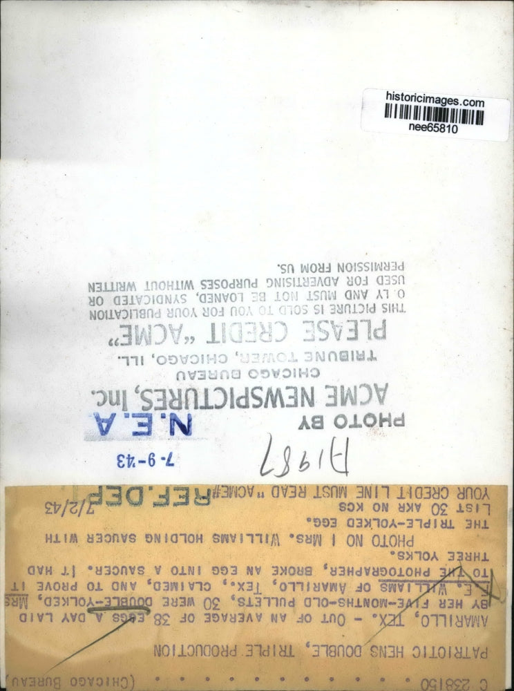 1943 Press Photo Amarillo Texas Mrs FE Williams claims 30 out of 38 eggs doubles