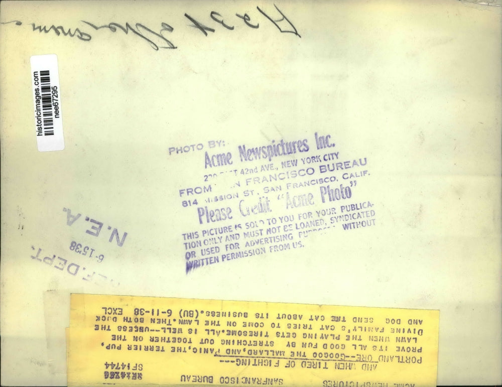 1938 Press Photo GooGoo the duck and Panic the dog stretch out together