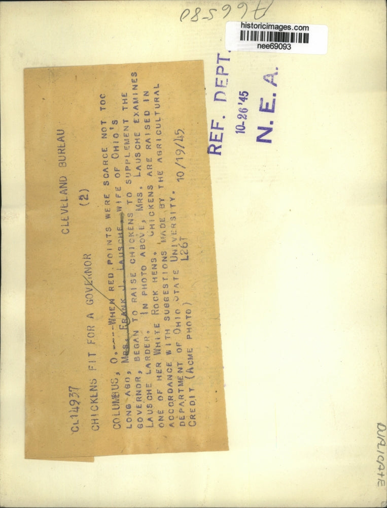 1945 Press Photo Mrs. Frank J, Lausche examines her White Rock Hens.