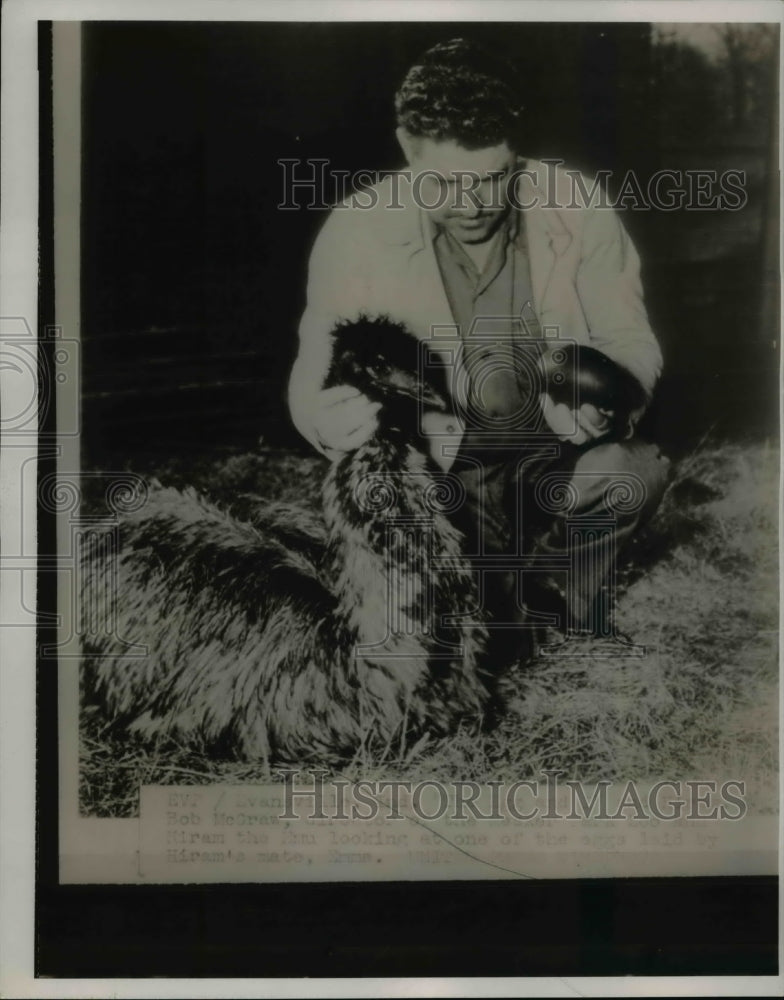 1953 Press Photo Farmer With Black Egg - nee69805