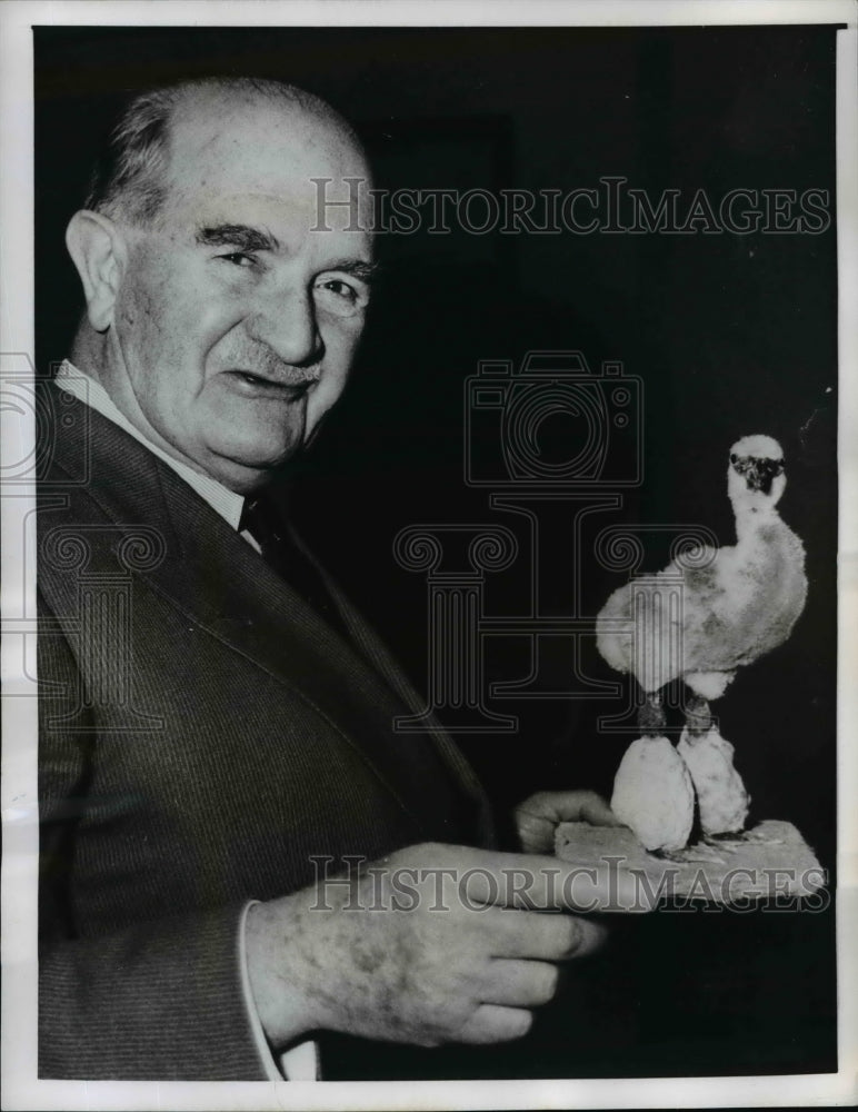 1962 Press Photo Britians Lord Slim with Flamingo Chick - nee70071