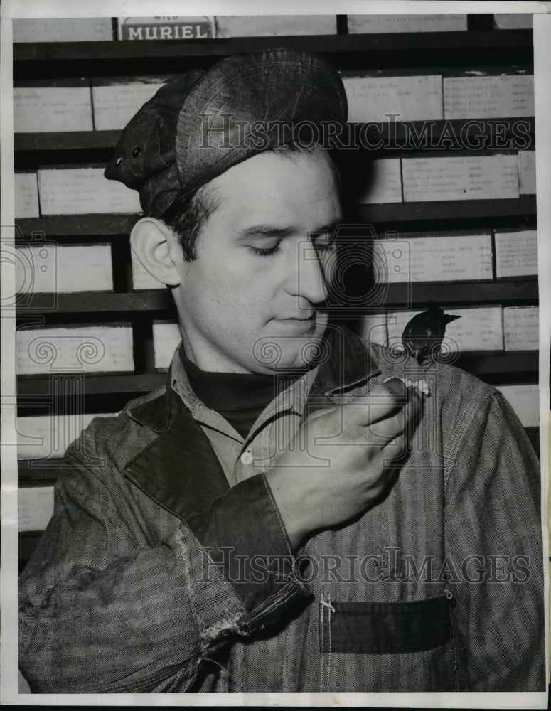 1951 Press Photo Chicago: Edward Stabobz with pet Sparrow - nee70075