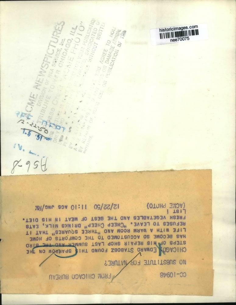 1951 Press Photo Chicago: Edward Stabobz with pet Sparrow - nee70075