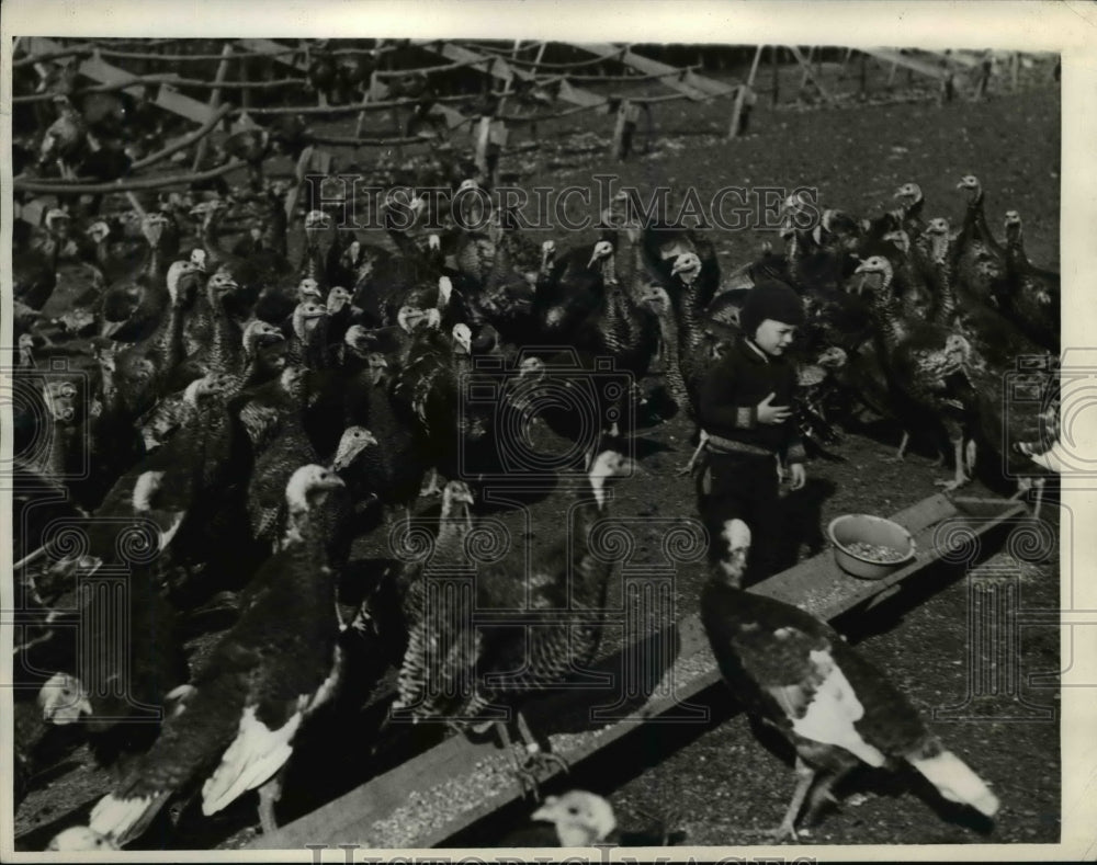 1934 Press Photo Karl Briche on Turkey Farm - nee70412
