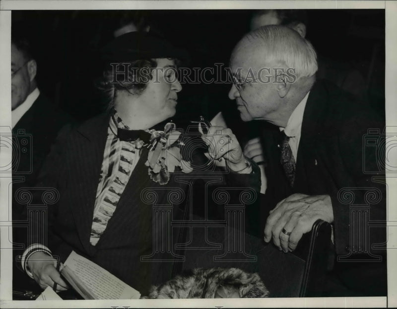 Load image into Gallery viewer, 1938 Press Photo Rep Edith Nourse Rogers and Rep John T Treadway - nee71483
