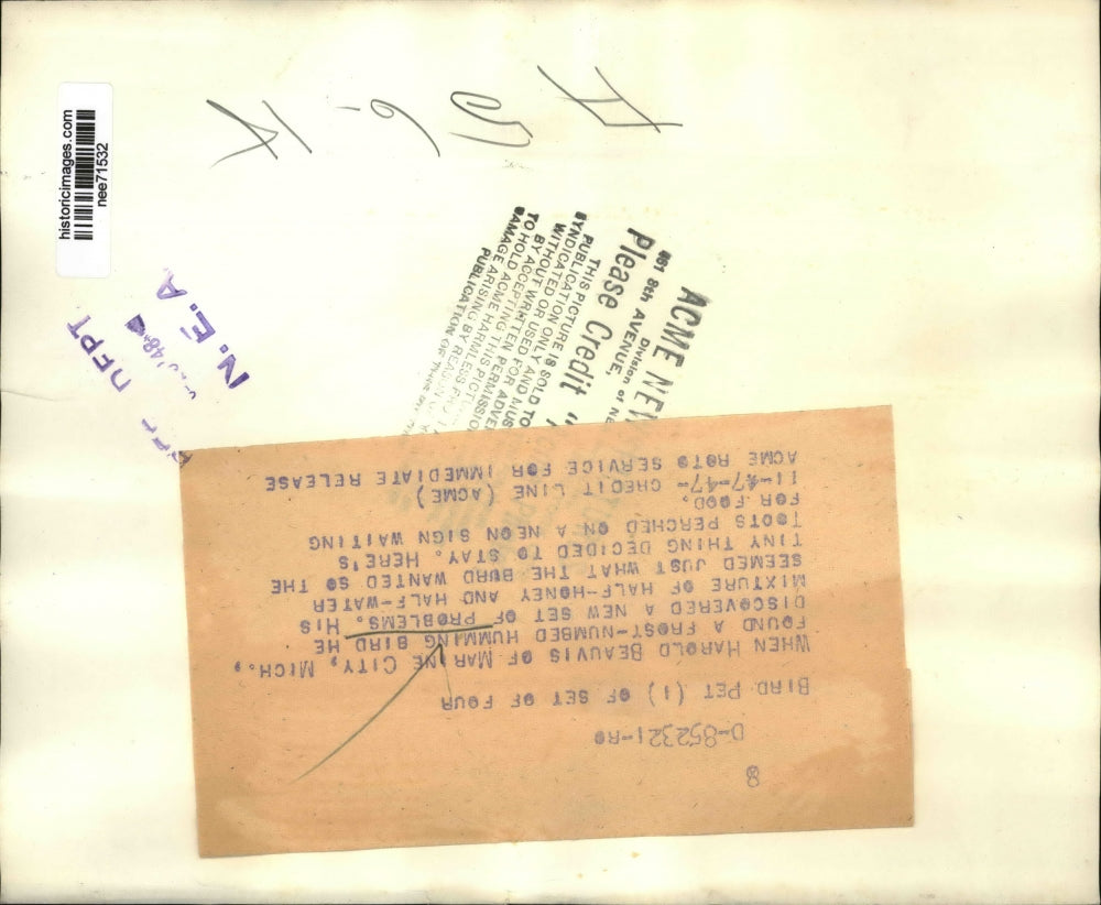 1948 Press Photo Harold Beauvis, Marine City Michigan Hummingbird Feeder