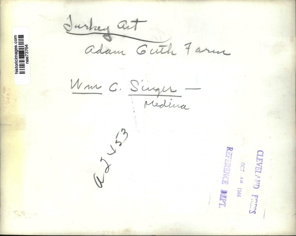 1946 Press Photo Thanksgiving Turkeys Adam Guth Farm, William Singer - nee73764