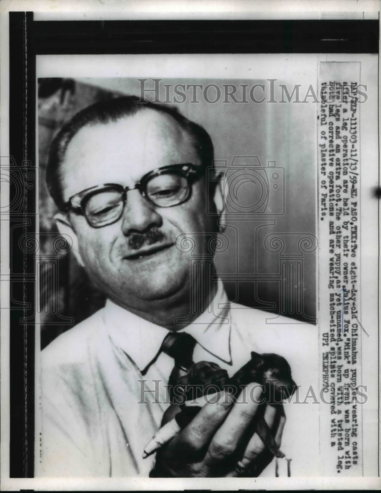 1959 Press Photo El Paso Texas Julius Fox holds two of his 8 day old puppies