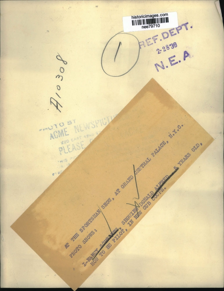 1939 Press Photo Nancy Schwartz & Donald Alfred in a Cub Coupe plane at NYC