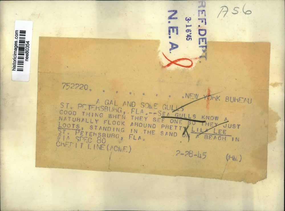 1945 Press Photo Sea gulls & Lila Lee Loots at St Petersburg Florida - nee80354