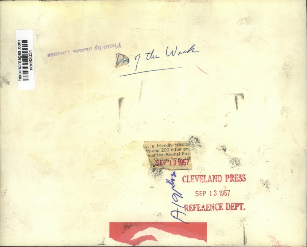 1957 Press Photo Dog of the Week. - nee83031