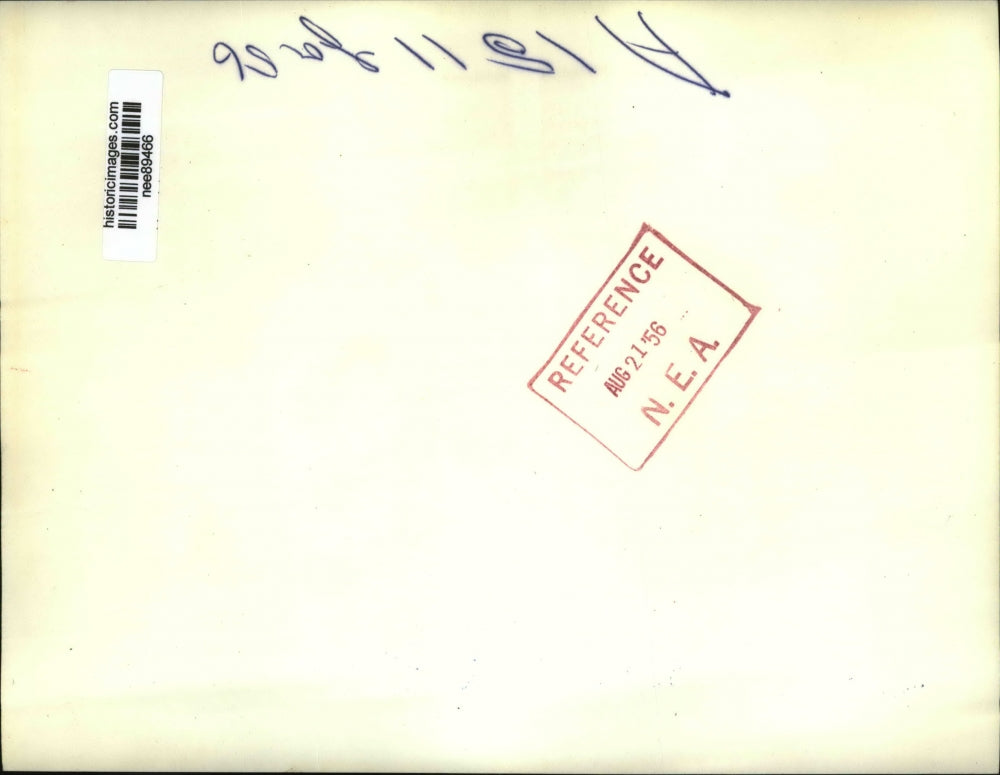 1956 Press Photo Delegates at Democratic National Convention Chicago Illinois