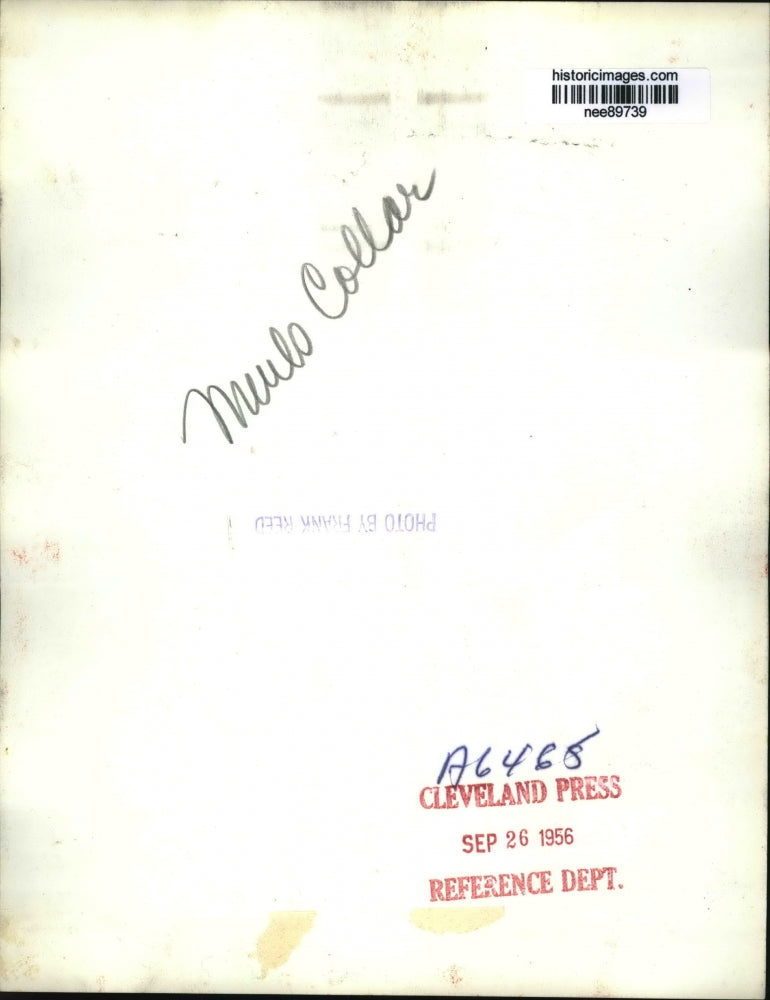 1956 Press Photo A fashion coat with a fur collar modeled - nee89739