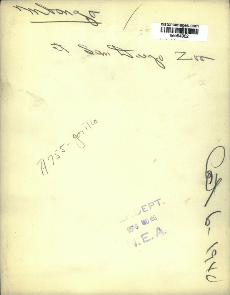 1940 Press Photo Gorilla at San Diego Zoo - nee94902