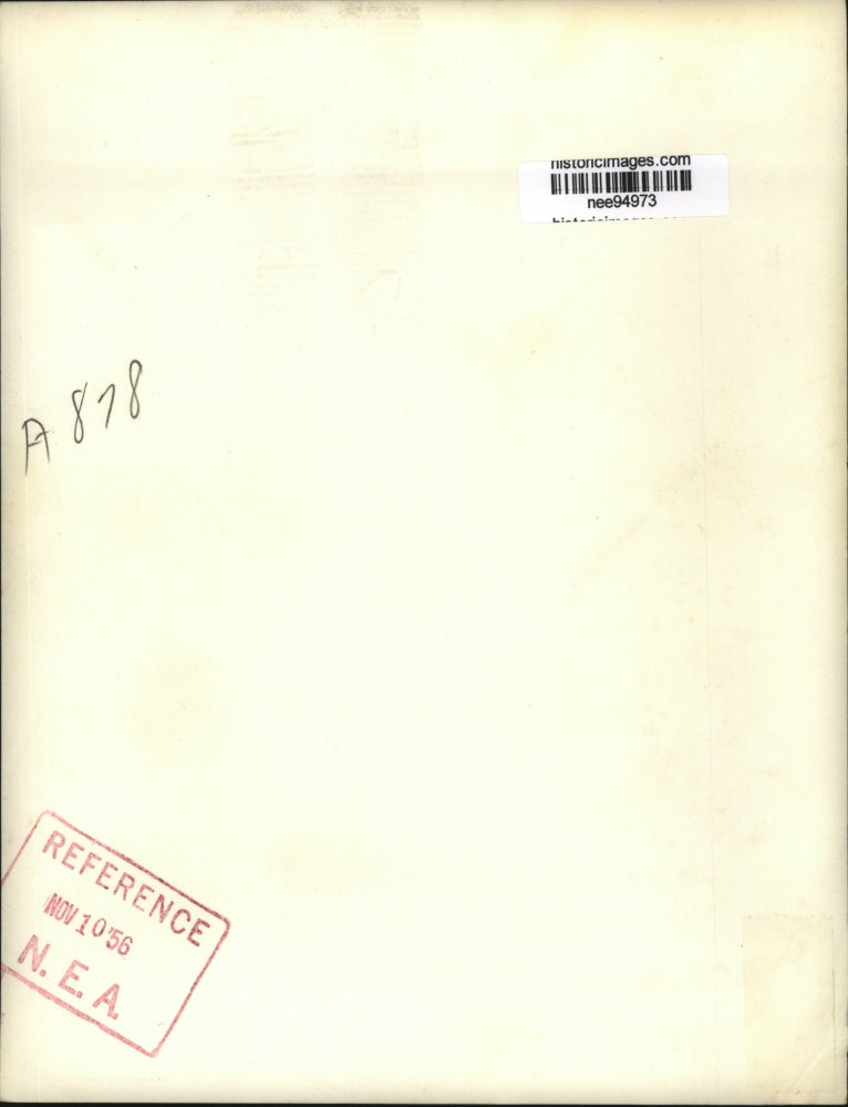 1956 Press Photo Swans And Ducks Swim In Minneapolis' Loring Park - nee94973