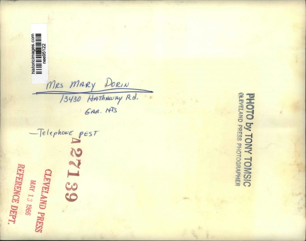 1966 Press Photo Mrs. Mary Dorin - nee95122