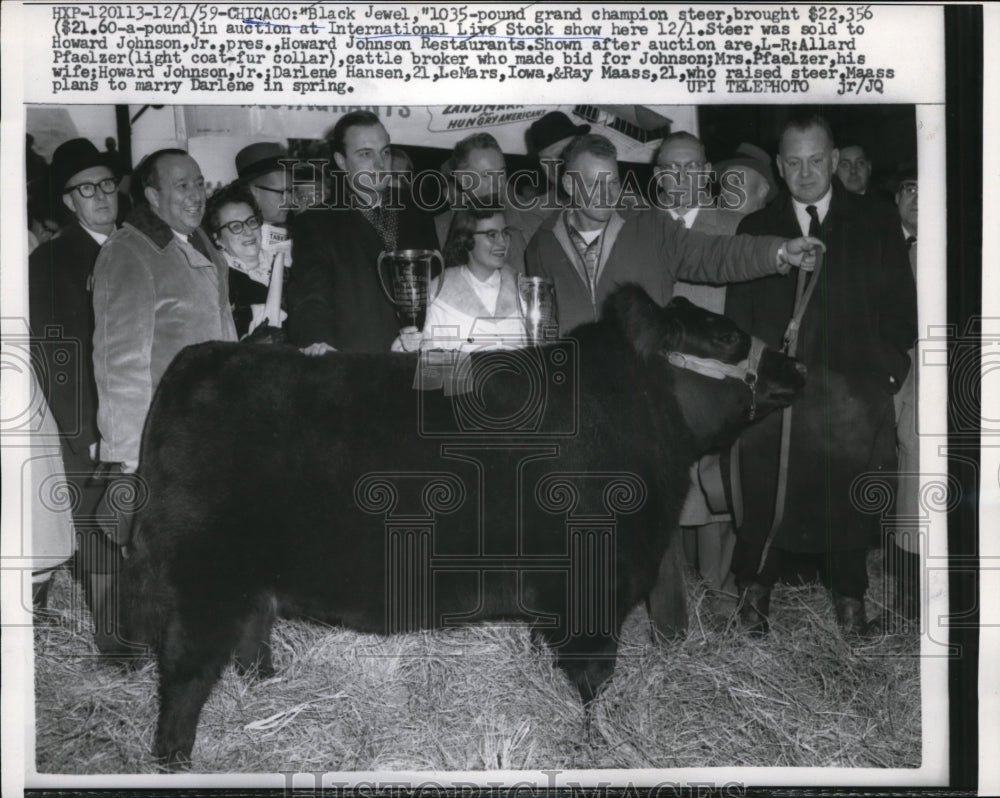 1959 Press Photo Black Jewel,champion steer at International Live Stock Show