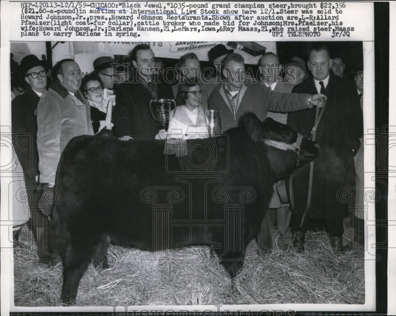 Load image into Gallery viewer, 1959 Press Photo Black Jewel,champion steer at International Live Stock Show
