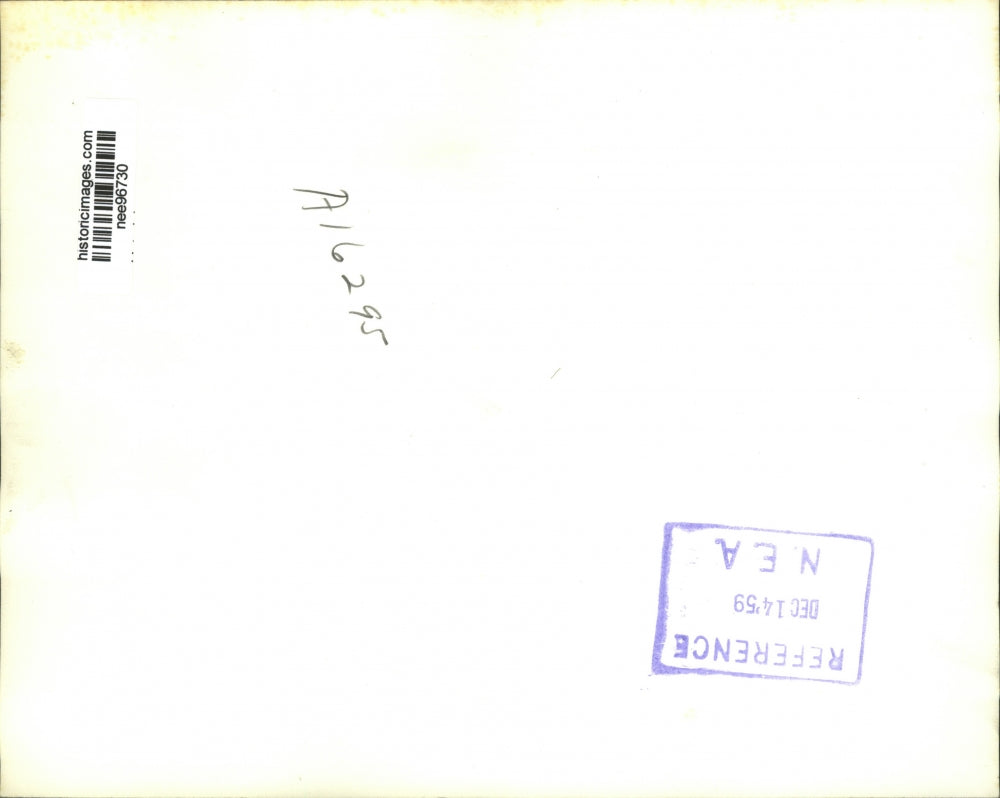 1959 Press Photo Black Jewel,champion steer at International Live Stock Show