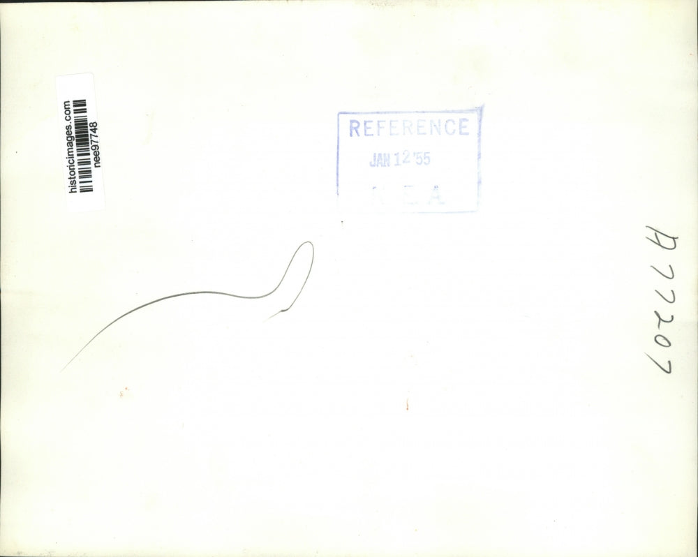 1935 Press Photo Grandchildren of the President and Mrs. Eisenhower - nee97748