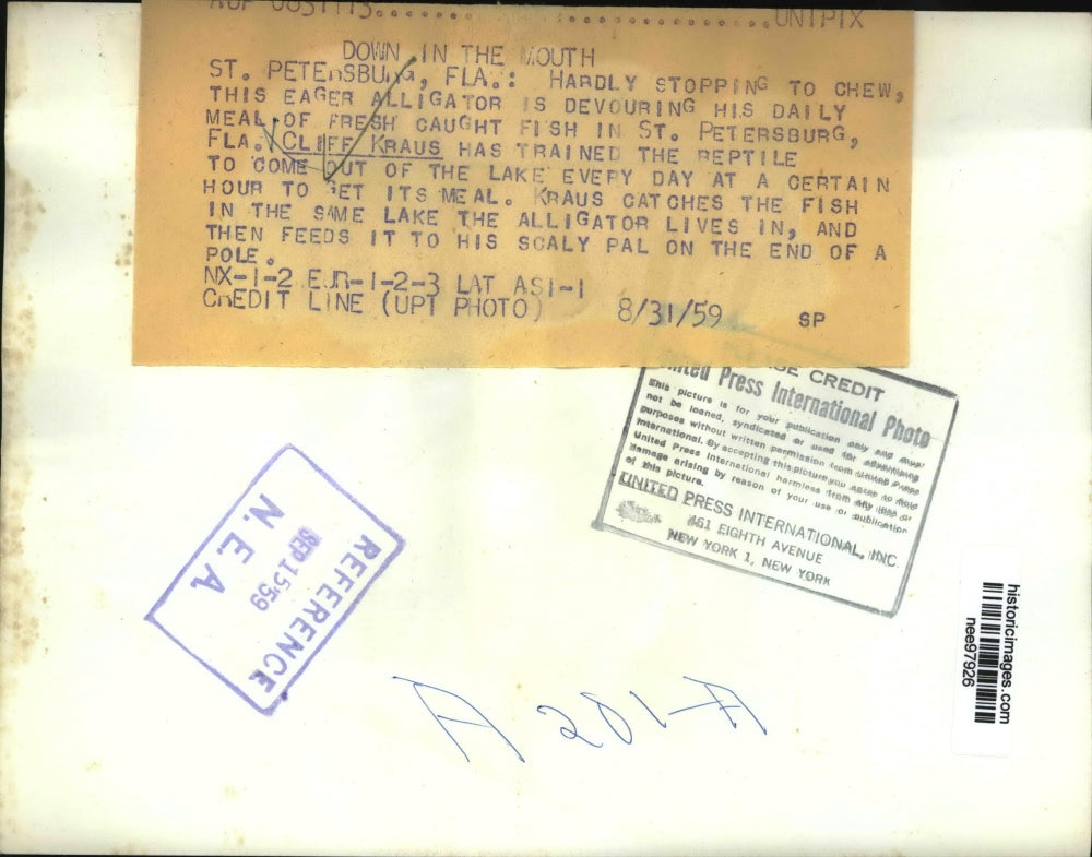 1959 Press Photo Cliff Kraus trained the reptile with fish from St.Petersbugh