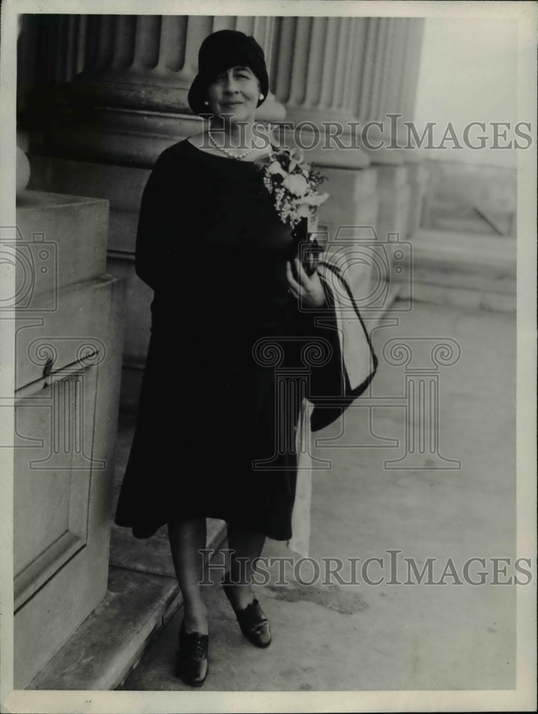 1929 Press Photo Ruth Bryan Owen, Congresswomen from Chicago - nee99063