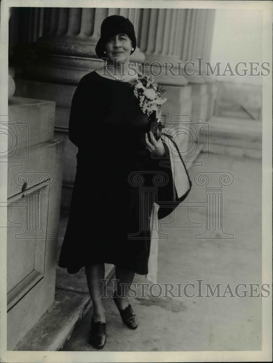 1929 Press Photo Ruth Bryan Owen, Congresswomen from Chicago - nee99063