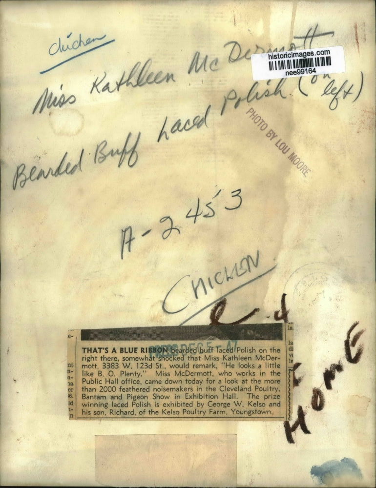 1947 Press Photo Kathleen McDermott Holding Bearded Buff Laced Polish Chicken