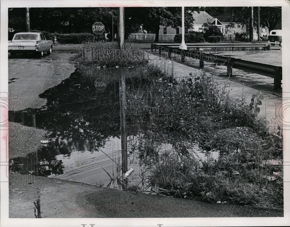 1967 Press Photo Weeds Growing & Trash on Roadside, Mentor, Ohio - nee99773